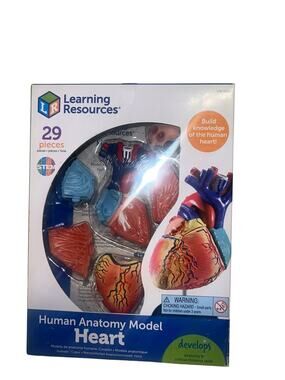 HUMAN HEART MODEL by Learning Resources Anatomy Cardiac 29 pieces STEM